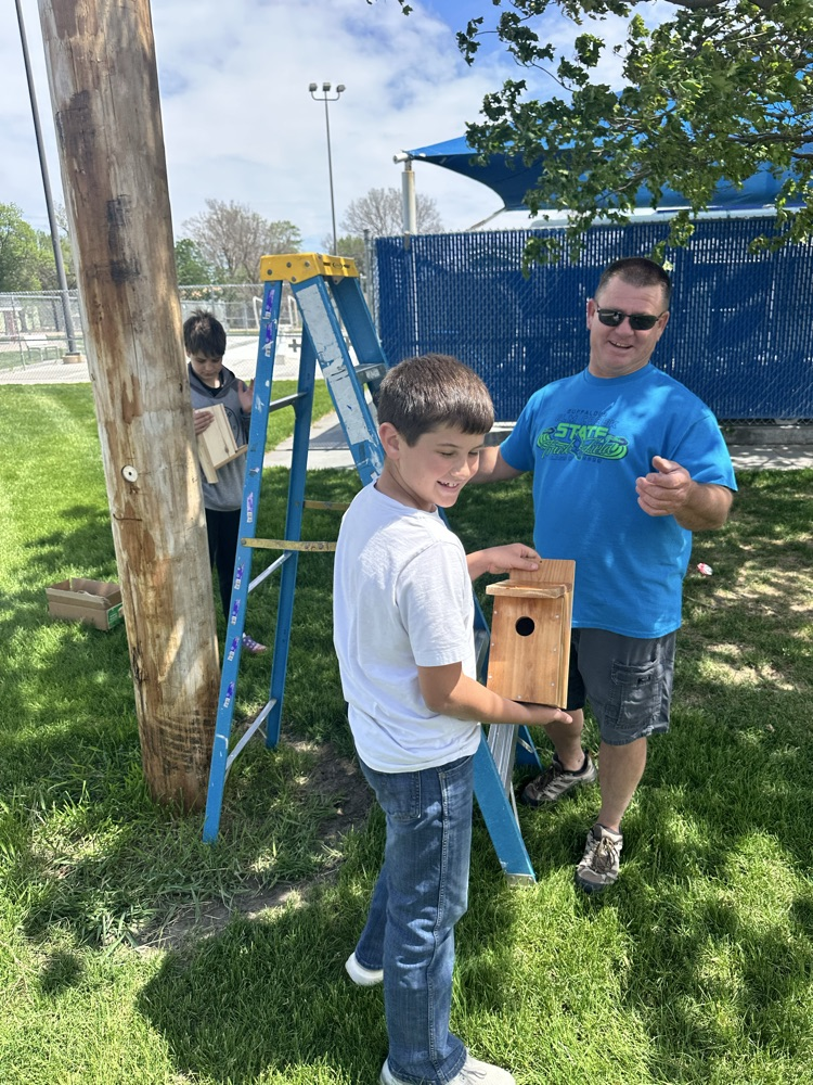 birdhouses at park