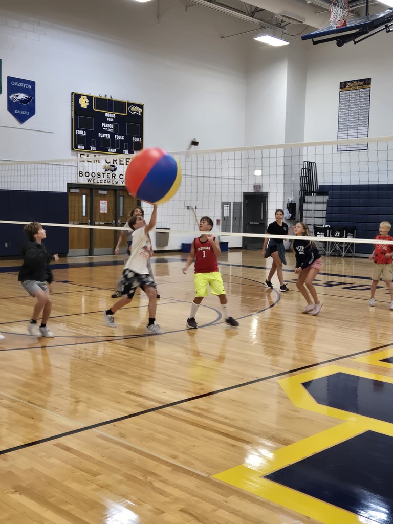 beachball