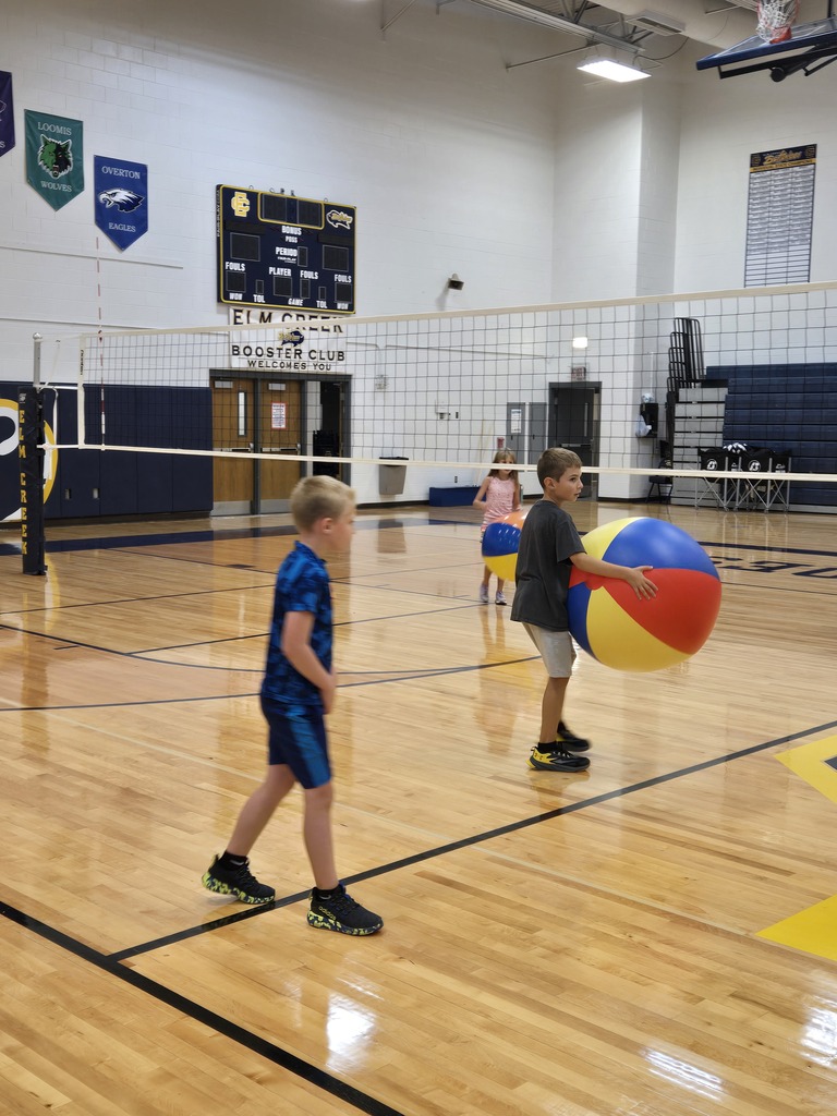 beachball