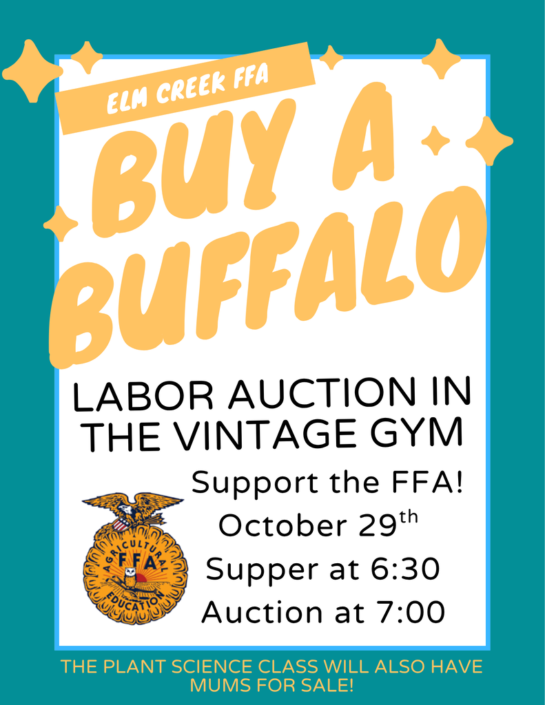 Buy a Buffalo