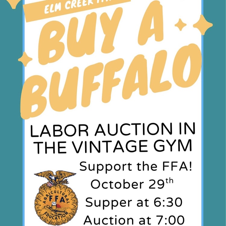 Buy a Buffalo