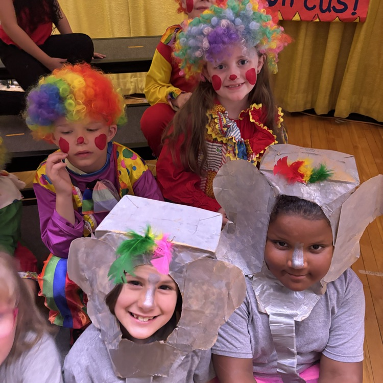 diven circus