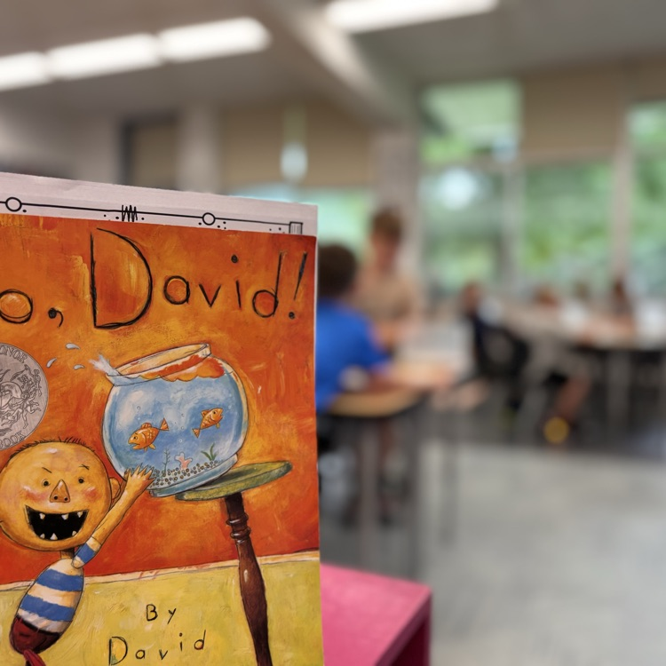 No David book in first grade 