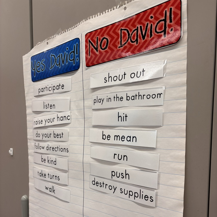 No David book in first grade 