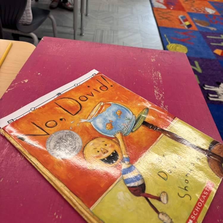 No David book in first grade 