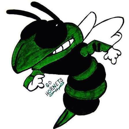 Green Hornets SHS