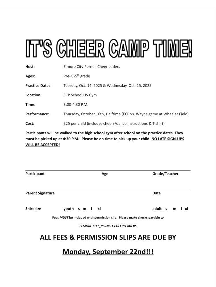 mini cheer camp