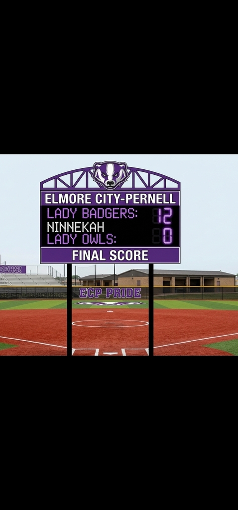 fp softball