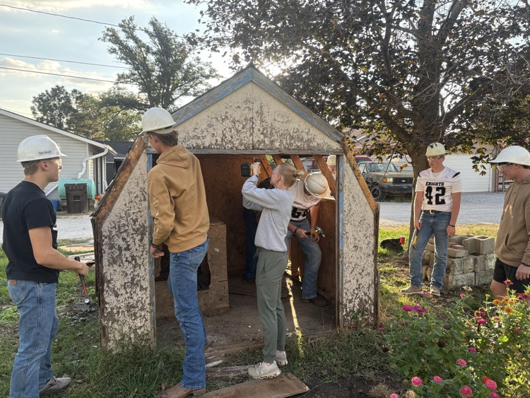 Shed Demo