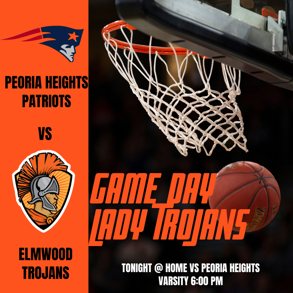 Orange Toronto Tigers Basketball Game Night Sports Instagram Post (4)