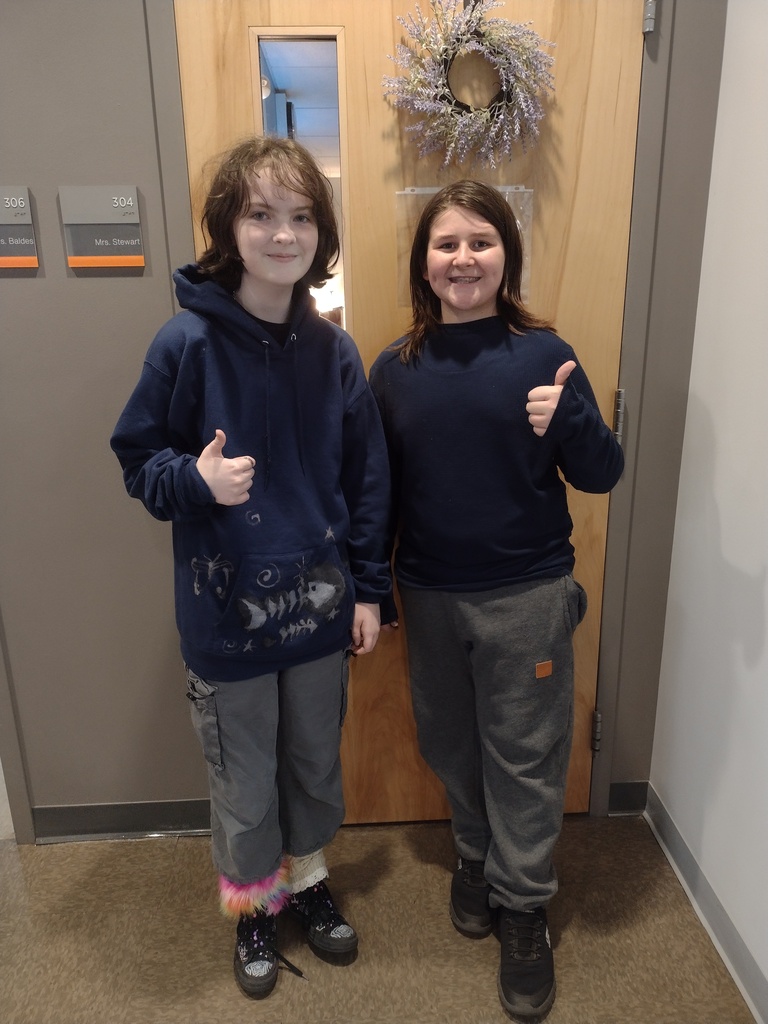 Twinning in the Junior High!