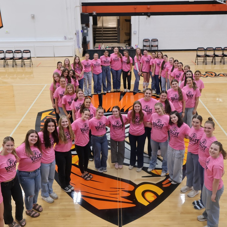 Volley for the Cure