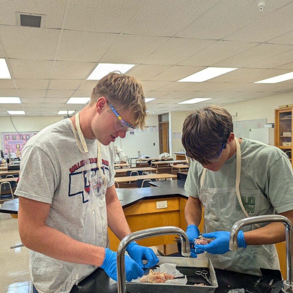 dissection 