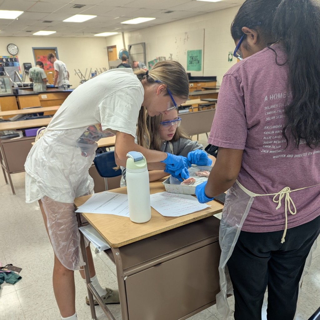 dissection