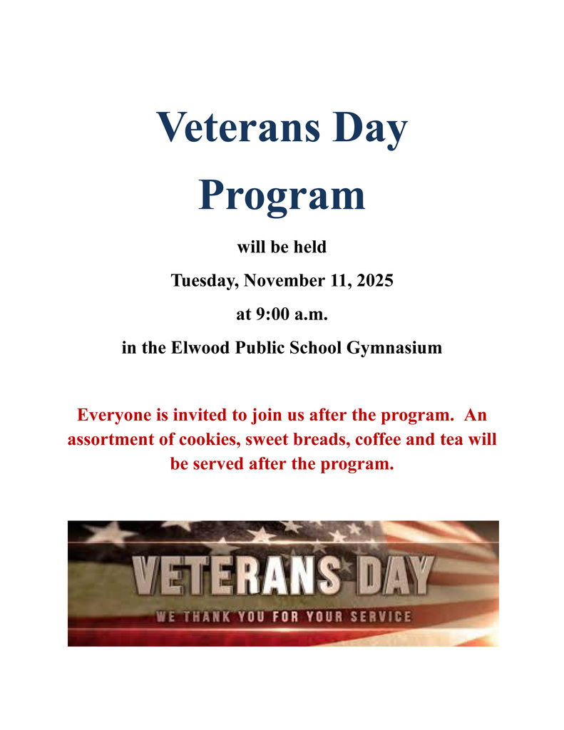 Veterans day flyer