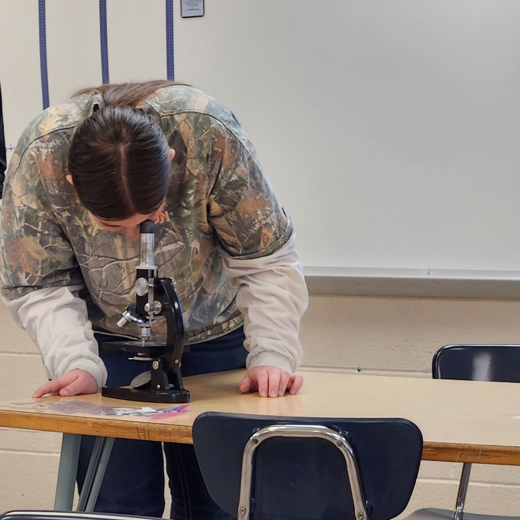 Intro students enjoyed looking at fabric fibers up close