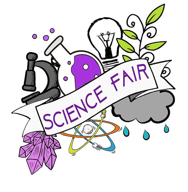 Science Fair This Friday!!!