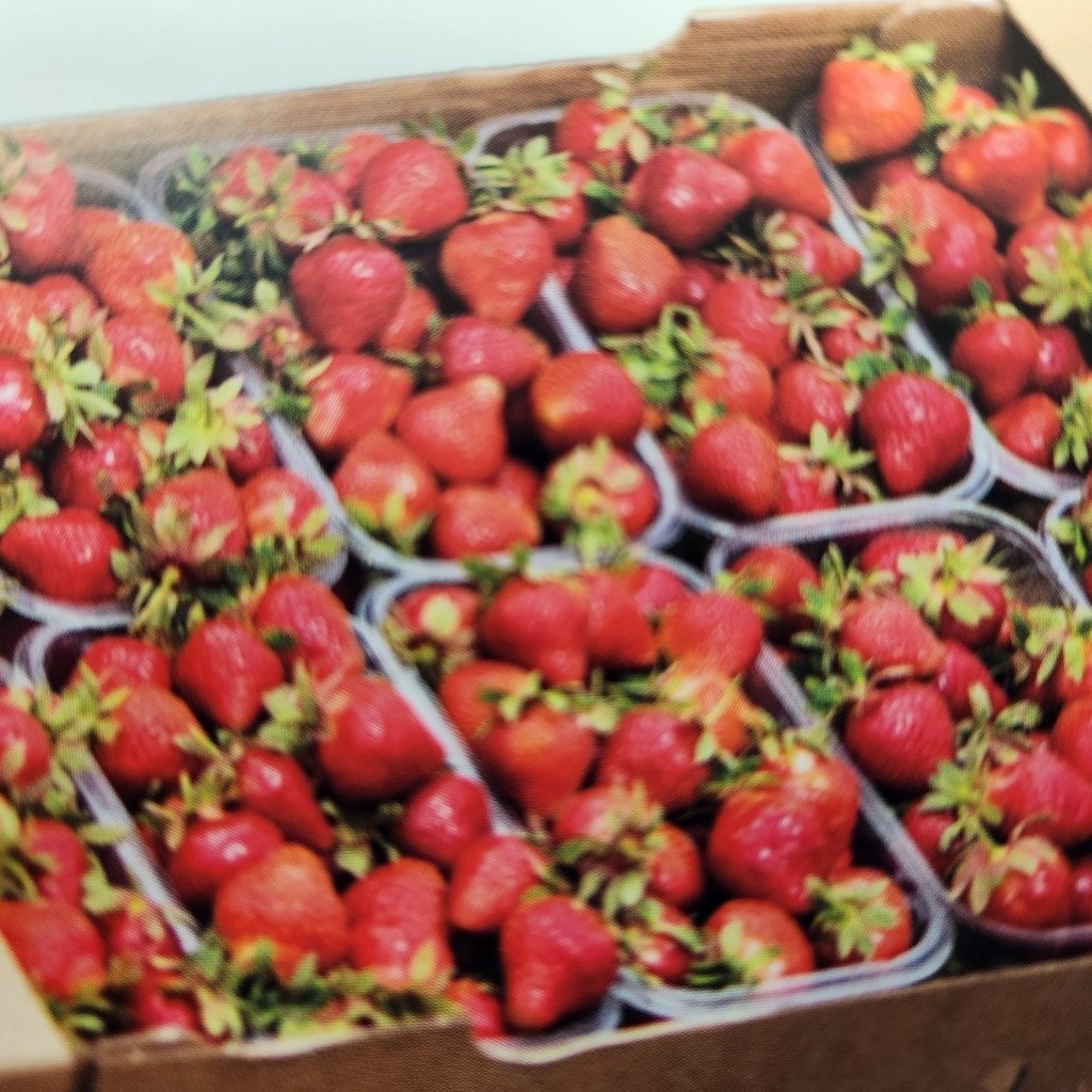 Strawberries should be here next Tuesday Feb 24th! 