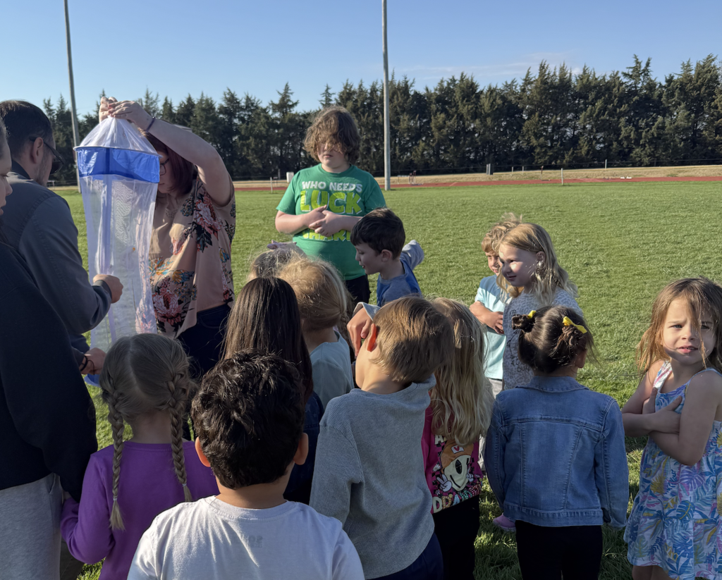 Releasing butterflies