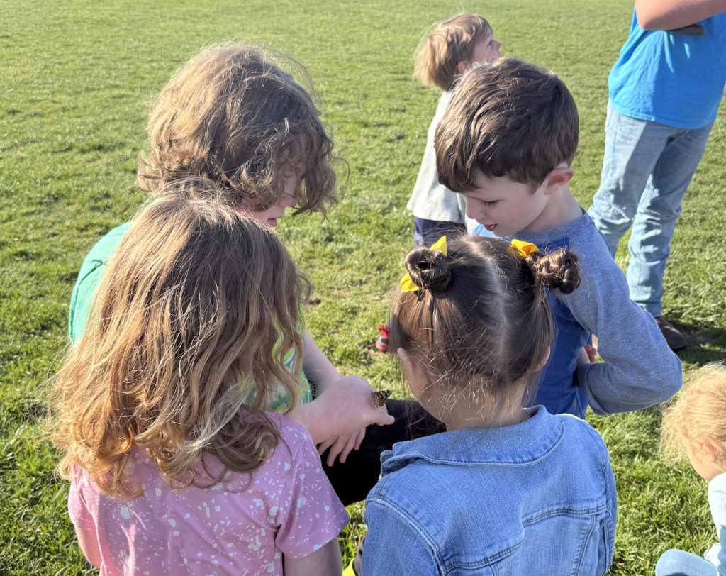 Releasing butterflies