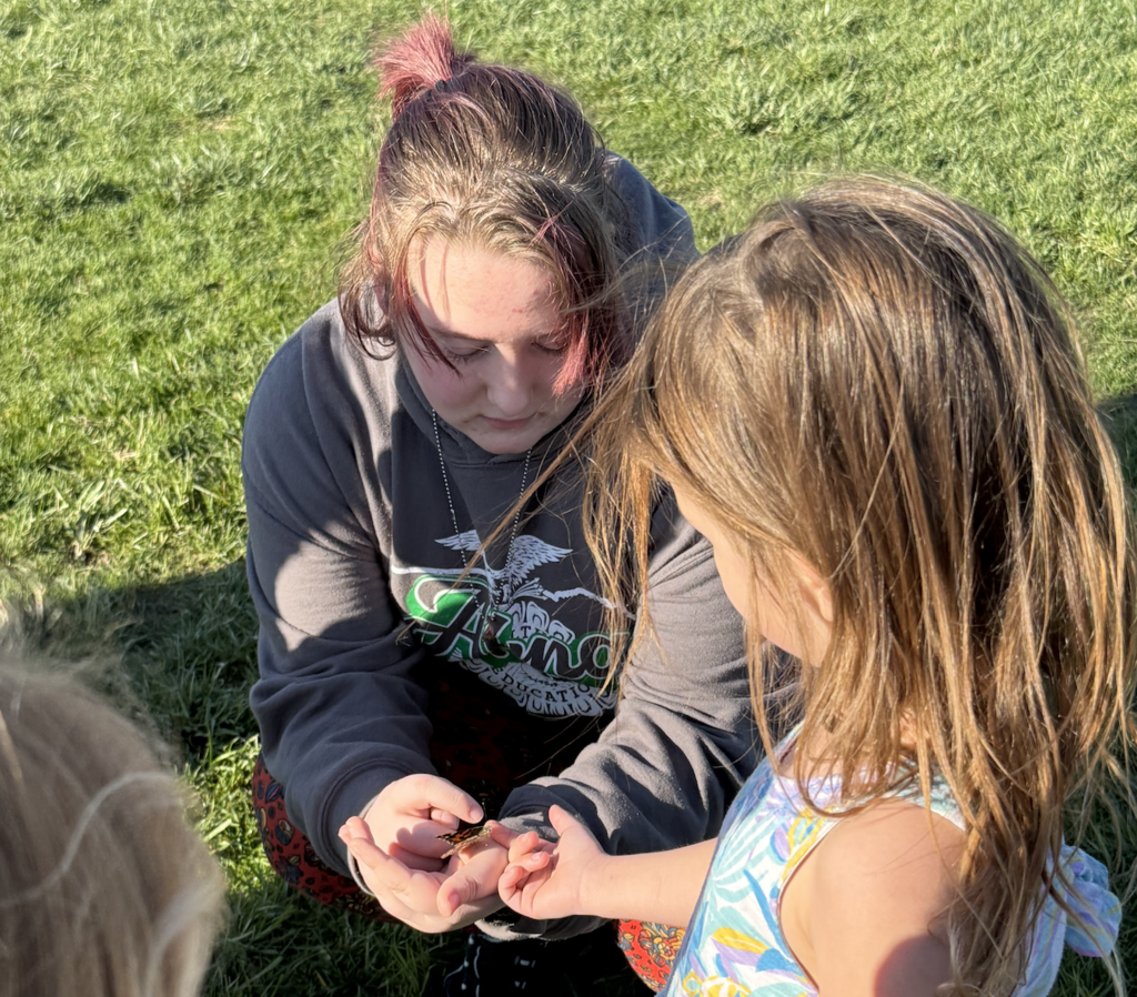 Releasing butterflies