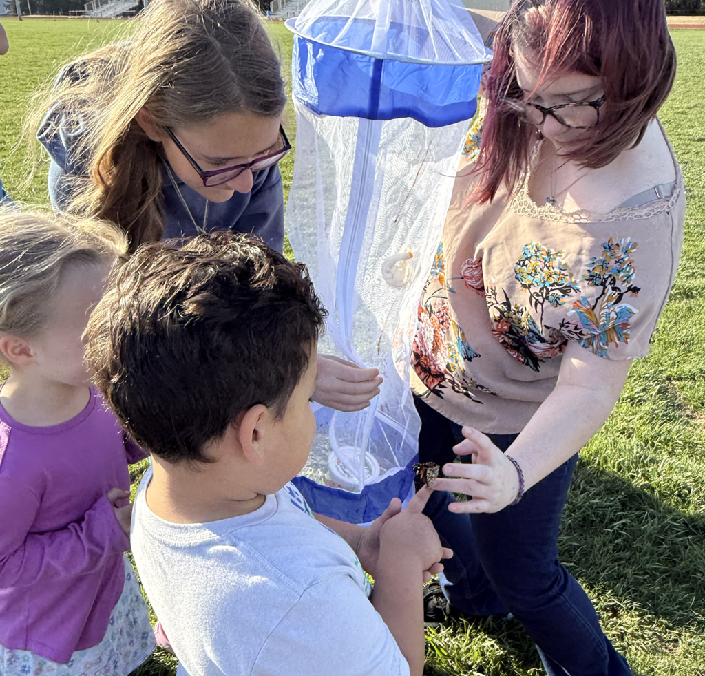 Releasing butterflies