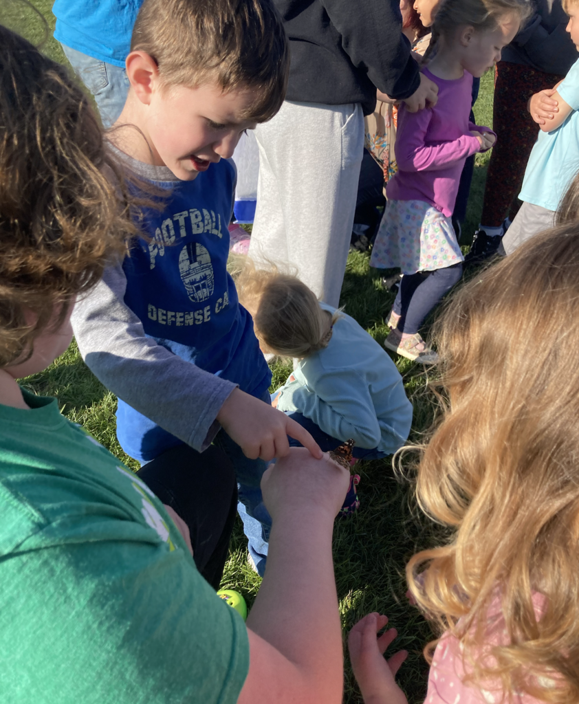 Releasing butterflies