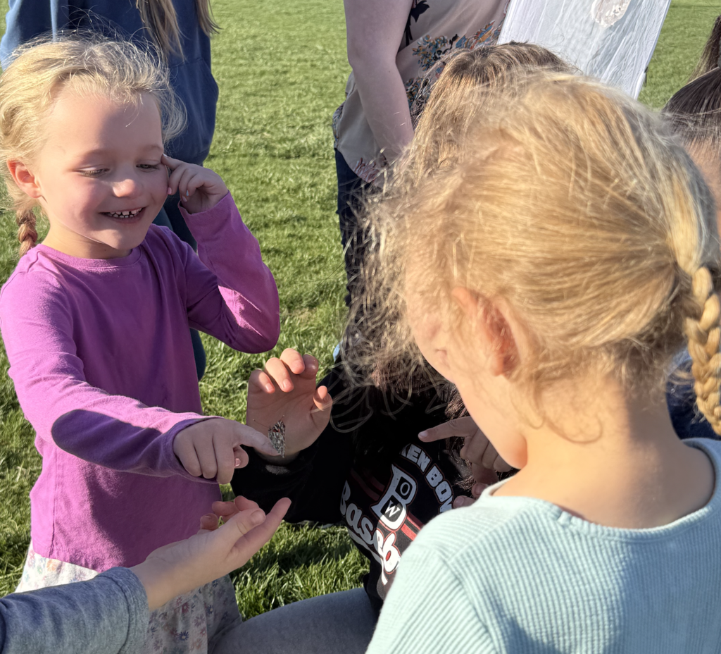 Releasing butterflies