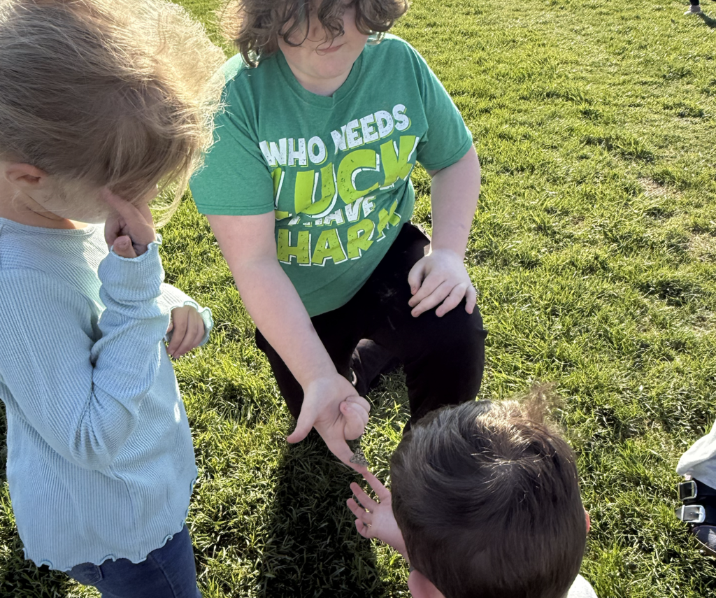 Releasing butterflies