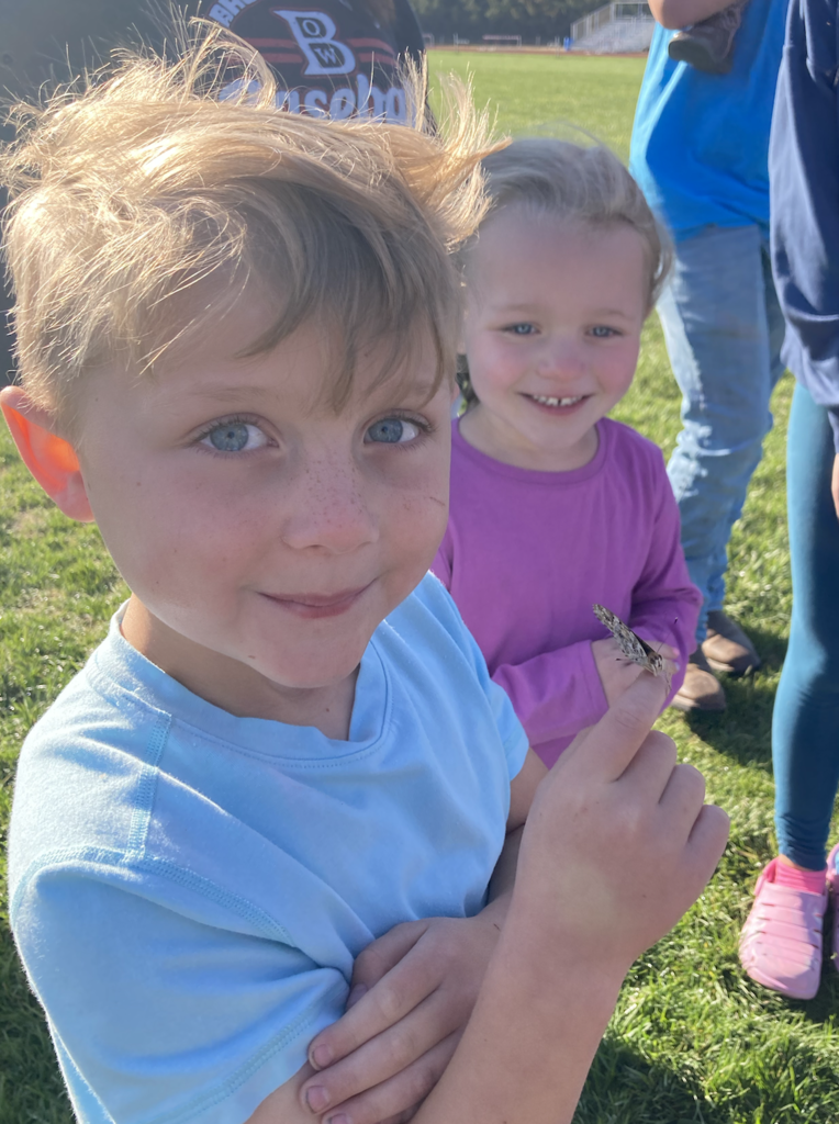 Releasing butterflies