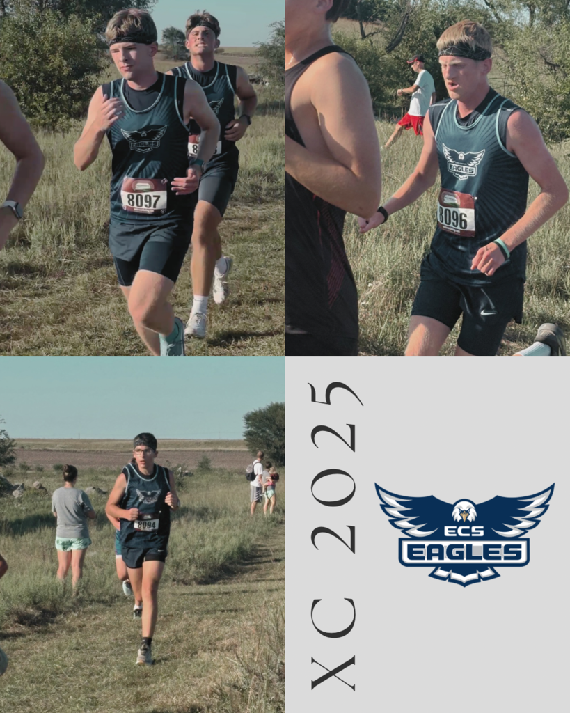  XC  