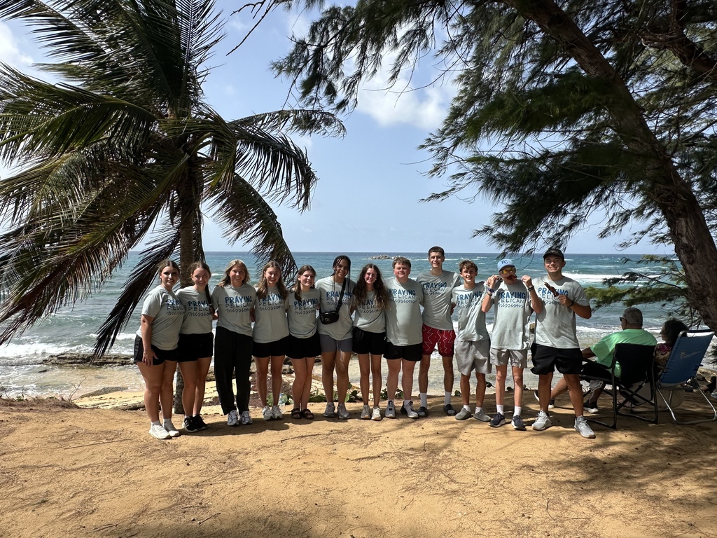 A group of people wearing matching shirts pose for a photo on a beach with palm trees.