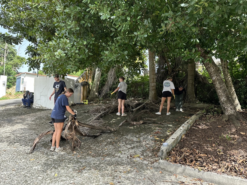A group of people are gathered around a tree with cut branches, working on the ground. Trees and shrubs surround the area.