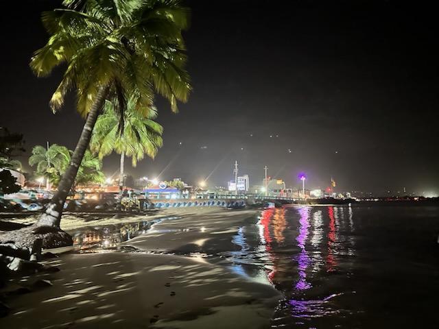 A beach with palm trees, a wet shore, and colorful lights reflecting on the water at night.