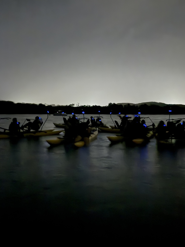 A nighttime scene with boats carrying people on a lake. The boats are illuminated by blue lights.