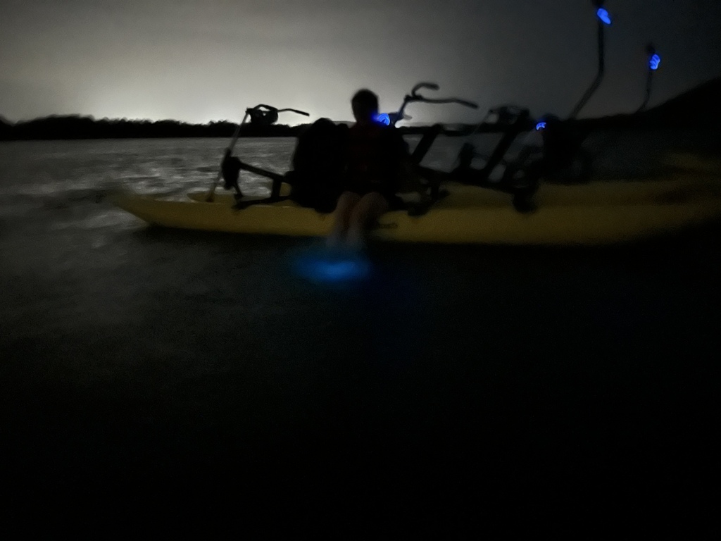 A silhouette of a person sits in a yellow boat with glowing blue lights on the water's surface at night.