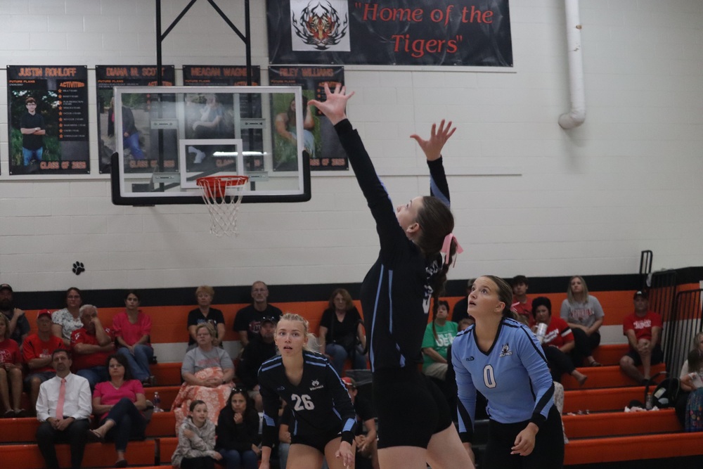 vb at Osmond