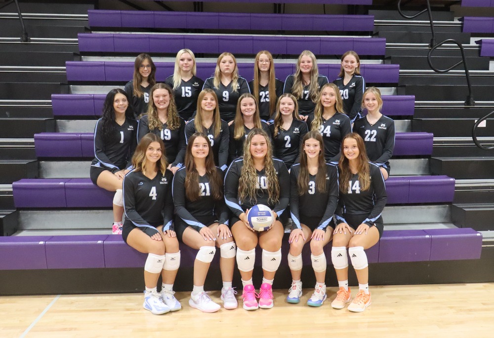 volleyball team