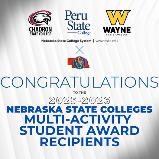nsaa multi activity student award