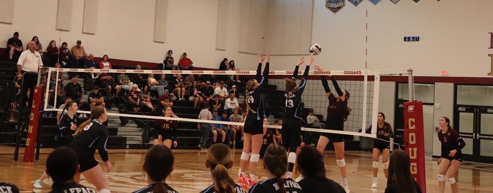 volleyball