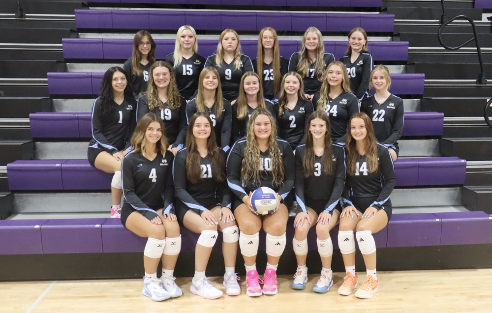 volleyball team