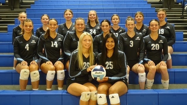 volleyball team