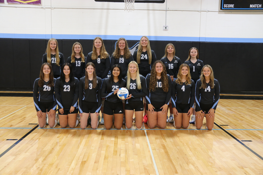 TCNE volleyball
