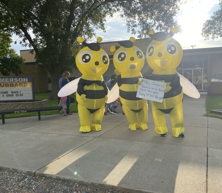 bee dads