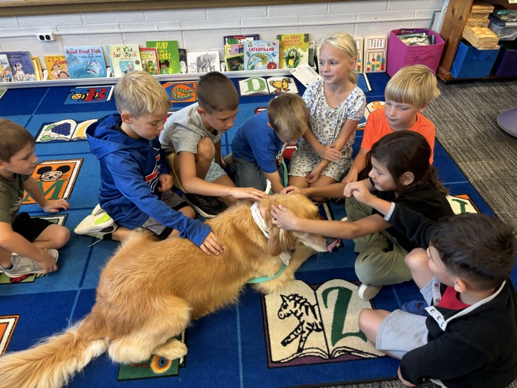 Chloe loved all the attention .