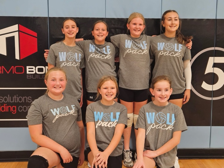 Wolfpack youth vb 