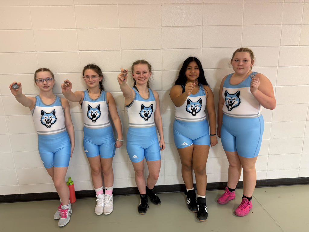JH Girls Wrestling at Randolph medalists
