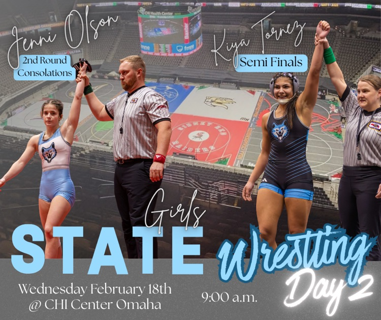 girls state wrestling day 2