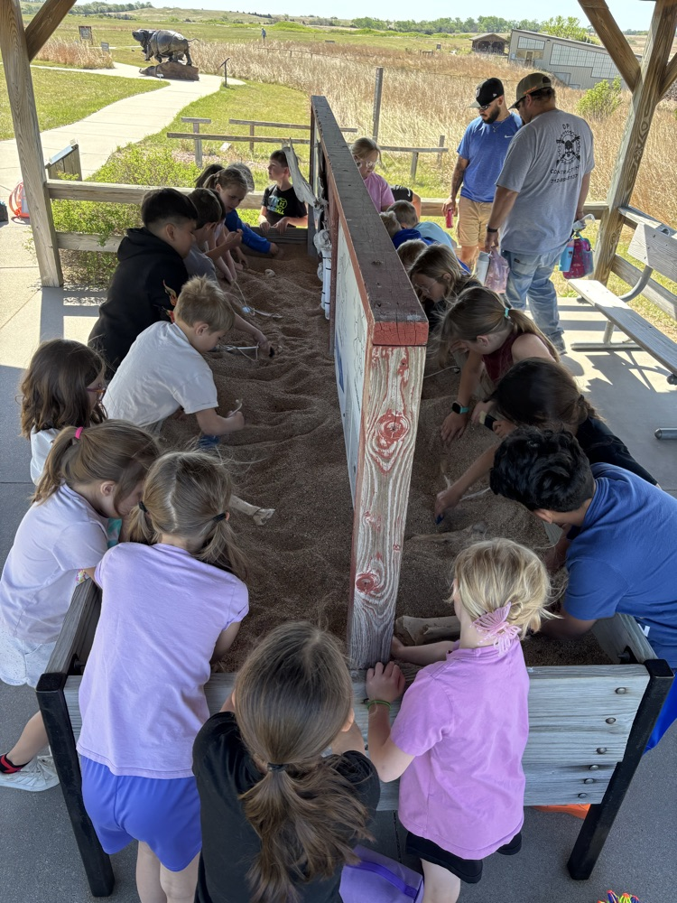 Maybe we have a future paleontologist ?