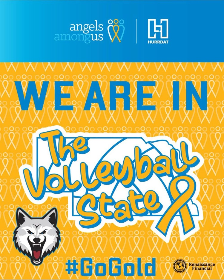 volleyball go gold 